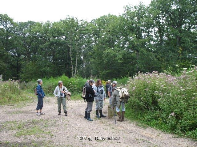 2007 08 Mare aux canes 04